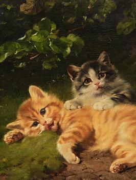 Julius II Adam, Kittens.