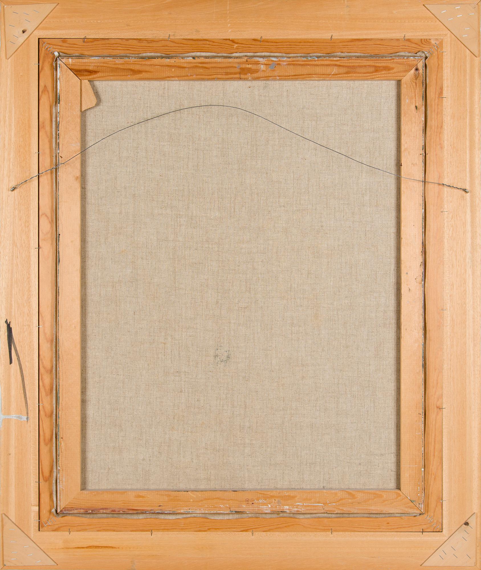 Aares Salli, Vinterlandskap.