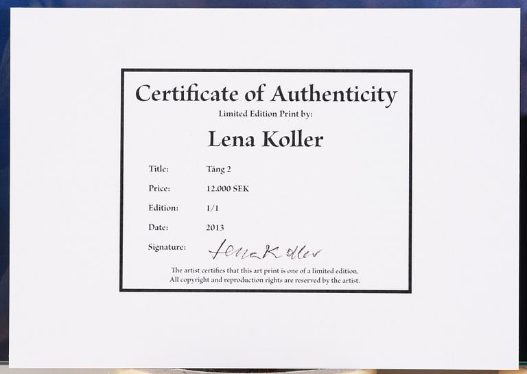 Lena Koller, "Tång", 2013.