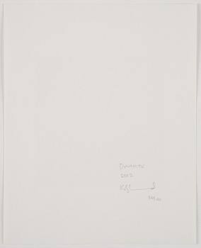 Zoe Leonard, "Dynamite", 2002.