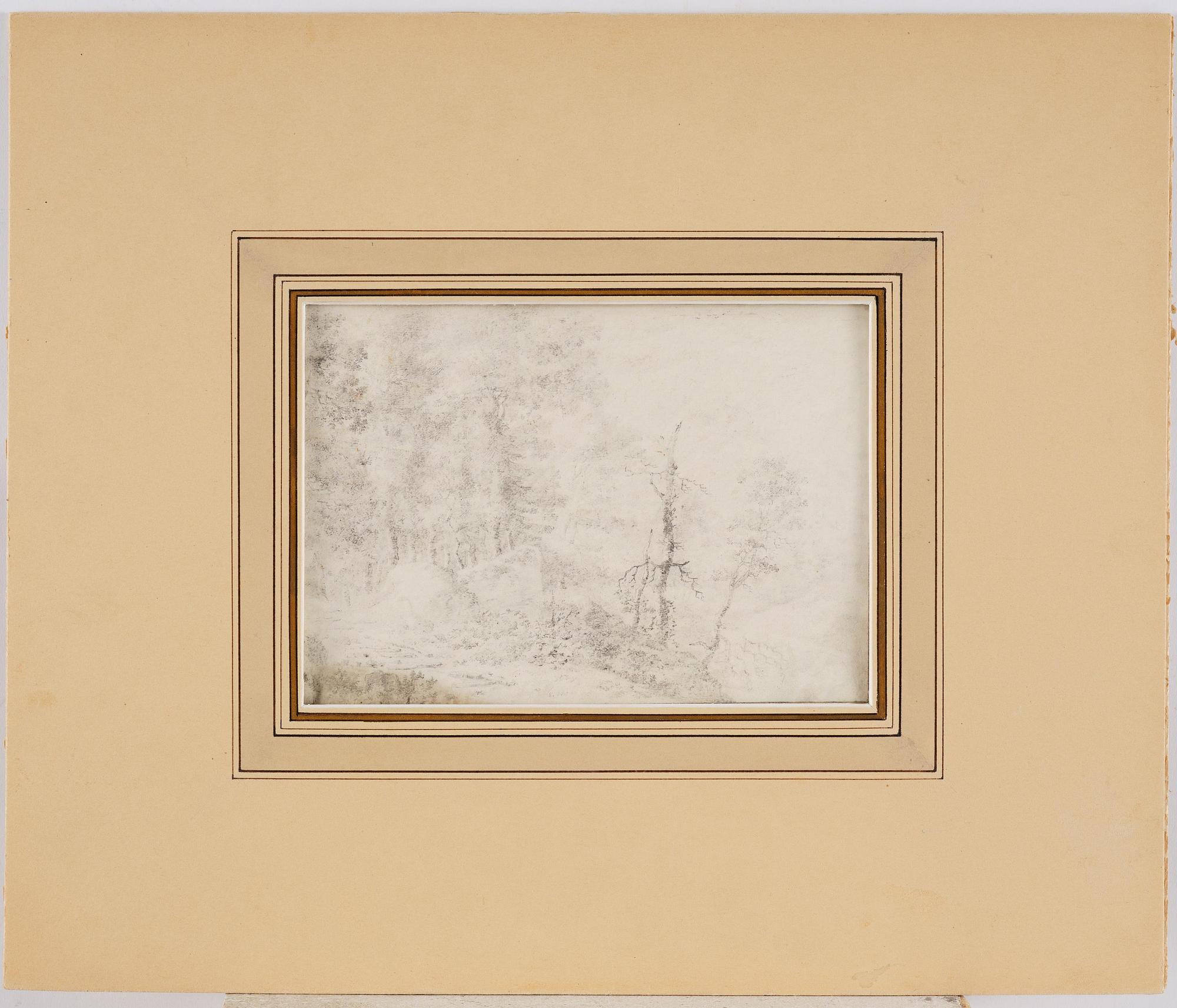 Jan Wils, Landscape with forest.