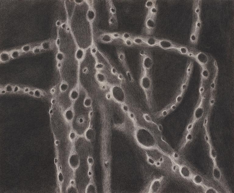 Christine Ödlund, "Mycelium".
