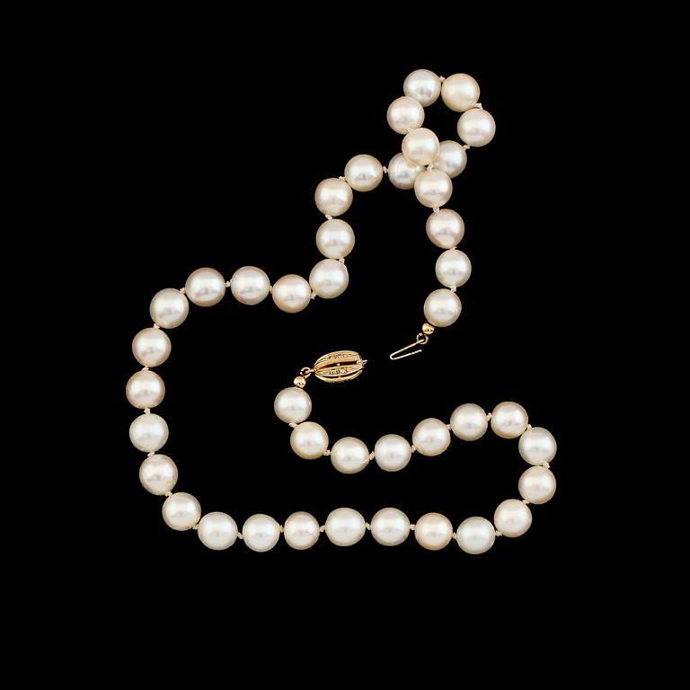 PÄRLCOLLIER, odlade pärlor.