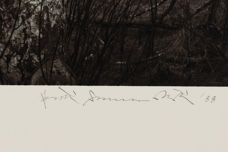 Pentti Sammallahti, "Lemland, Åland, 1988".