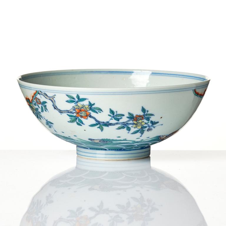 A doucai carp bowl, Qing dynasty, early 18th Century.