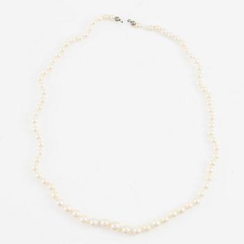 Pärlcollier, tre stycken, odlade pärlor, lås silver, varav ett saknar lås.
