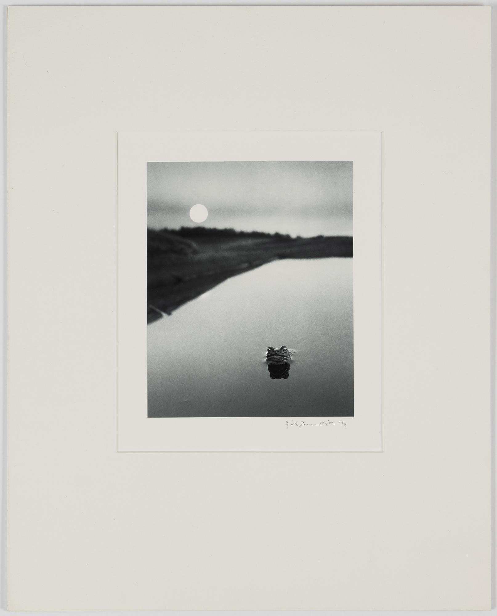 Pentti Sammallahti, Utan titel, 1974.