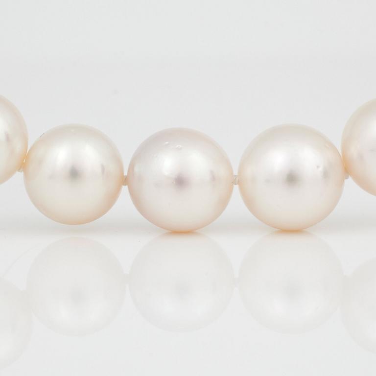 A cultured South Sea pearl collier.