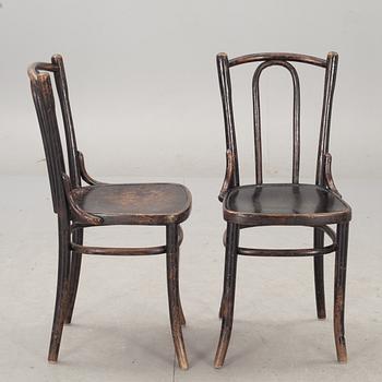 STOLAR, 6+2 st, bl a Cosmos, 1900-talets början, etikettmärkta.