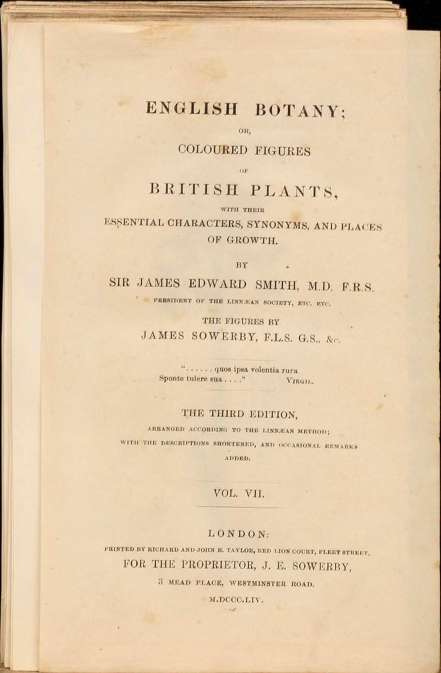 UR "ENGLISH BOTANY" 3:e upplagan, vol VII, 1854 172 st handkolorerade kopparstick. London.
