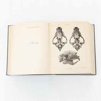 Yngve Sjöstedt, Zoologische Kilimandjaro-Meru Expedition 1905-1906, 3 volumes, P.Palmqvists Aktiebolag Stockholm, 1910.