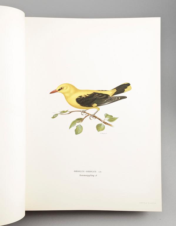 BÖCKER, 3 vol, "Svenska Fåglar", M,W & F von Wright. Stockholm, 1927 respektive 1929.