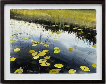 Peter Eugén, View over a lake with water lilies.