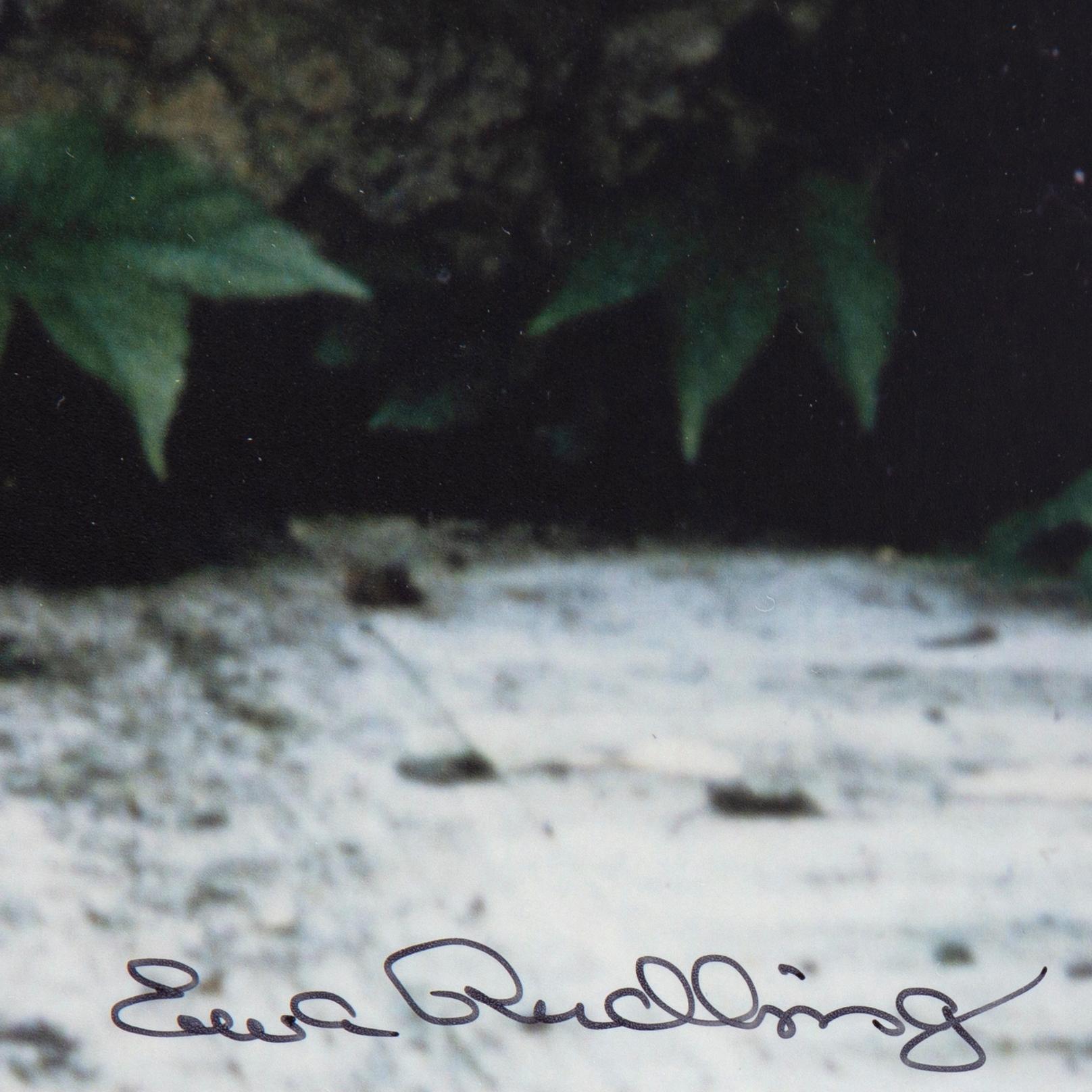 Ewa Rudling, photograph signed and numbered 14/30.