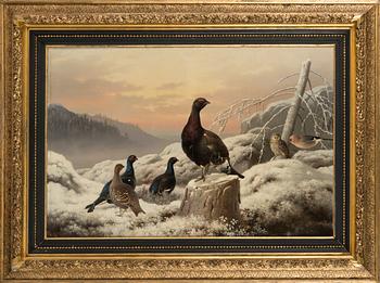 Ferdinand von Wright,  Black grouses and capercaillies in winter landscape.