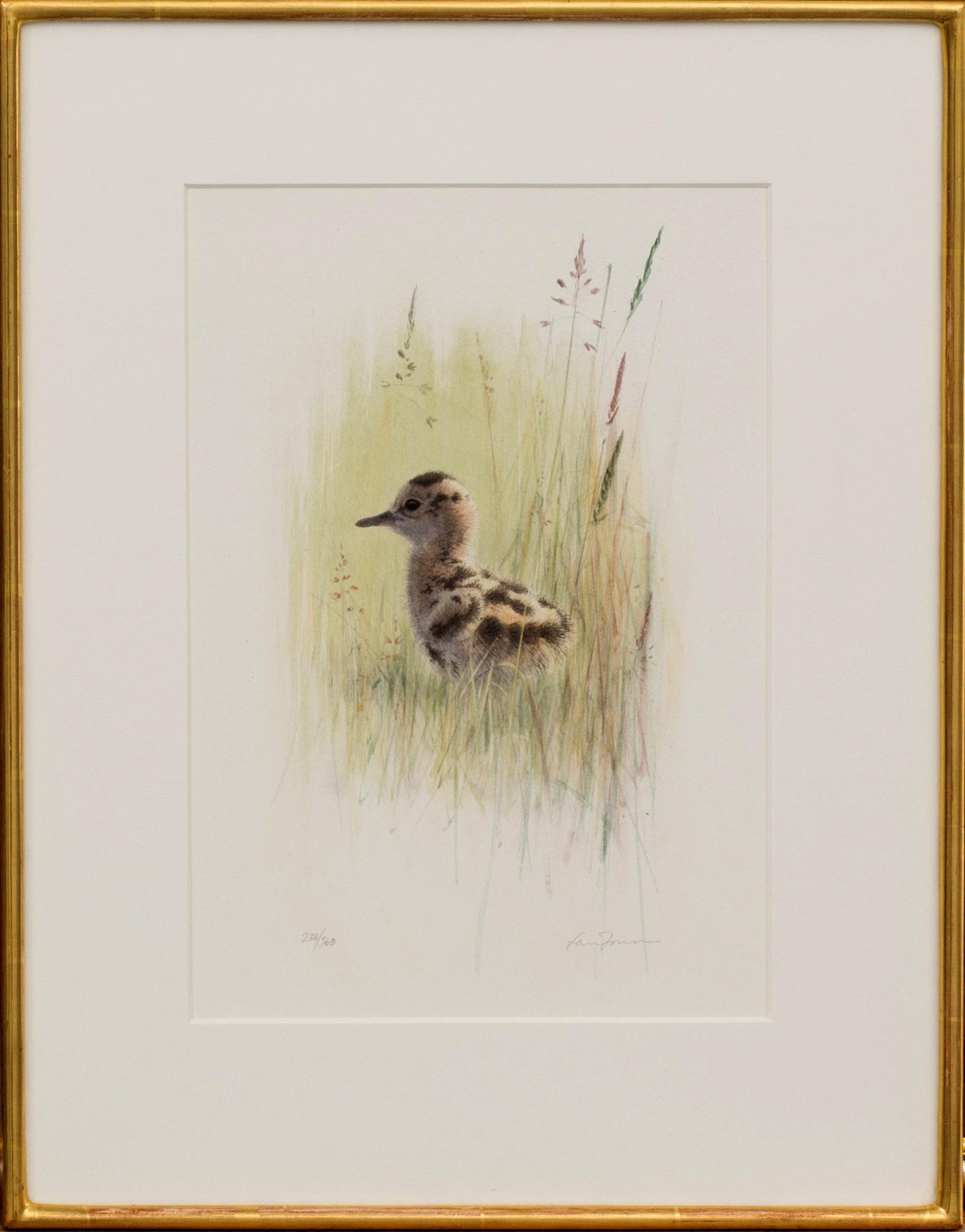 LARS JONSSON, litografi signerad och numrerad 236/360,