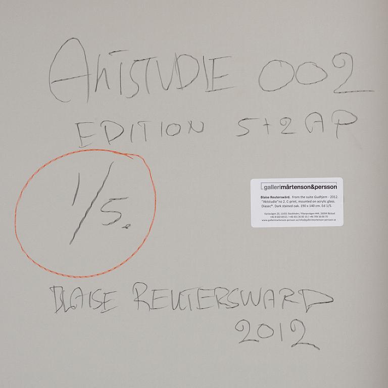Blaise Reutersward, "Aktstudie 002", 2012.