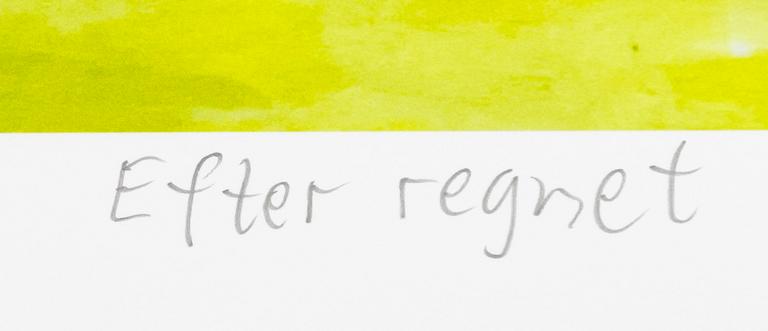 Carl Johan De Geer, "Efter regnet".