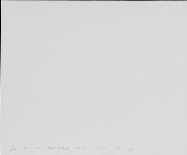 Joakim Eskildsen, "Fireworks", 1991.