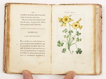 BOK, "Almanach de Flore ou description de douze plantes...Malmaison", Paris 1817.