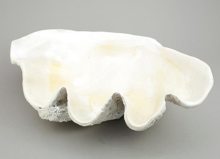 MUSSLA, fossil.