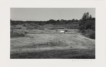 Pentti Sammallahti, "Benö, 1976".