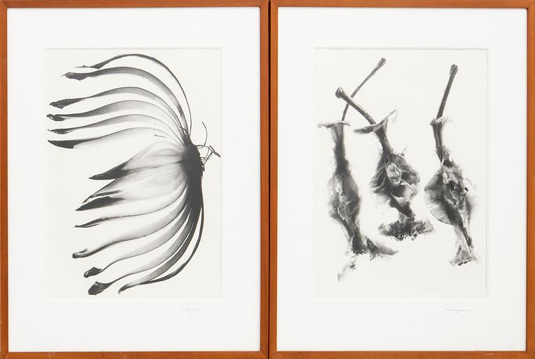 Ingvar Eriksson, photographs 3 pcs Untitled.