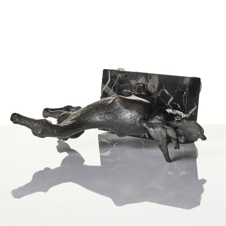 Sergio Capellini, stegrande häst.