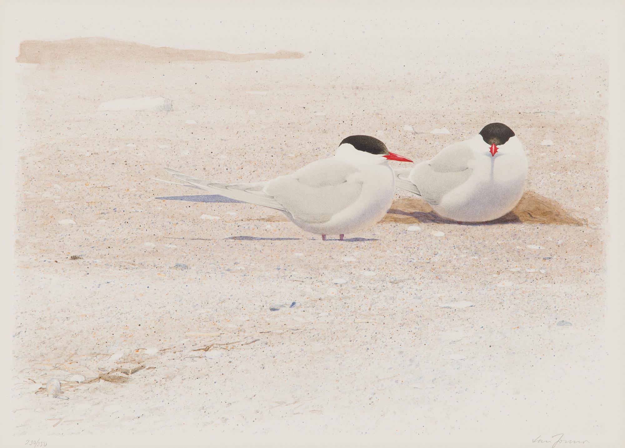 Lars Jonsson, Two birds.