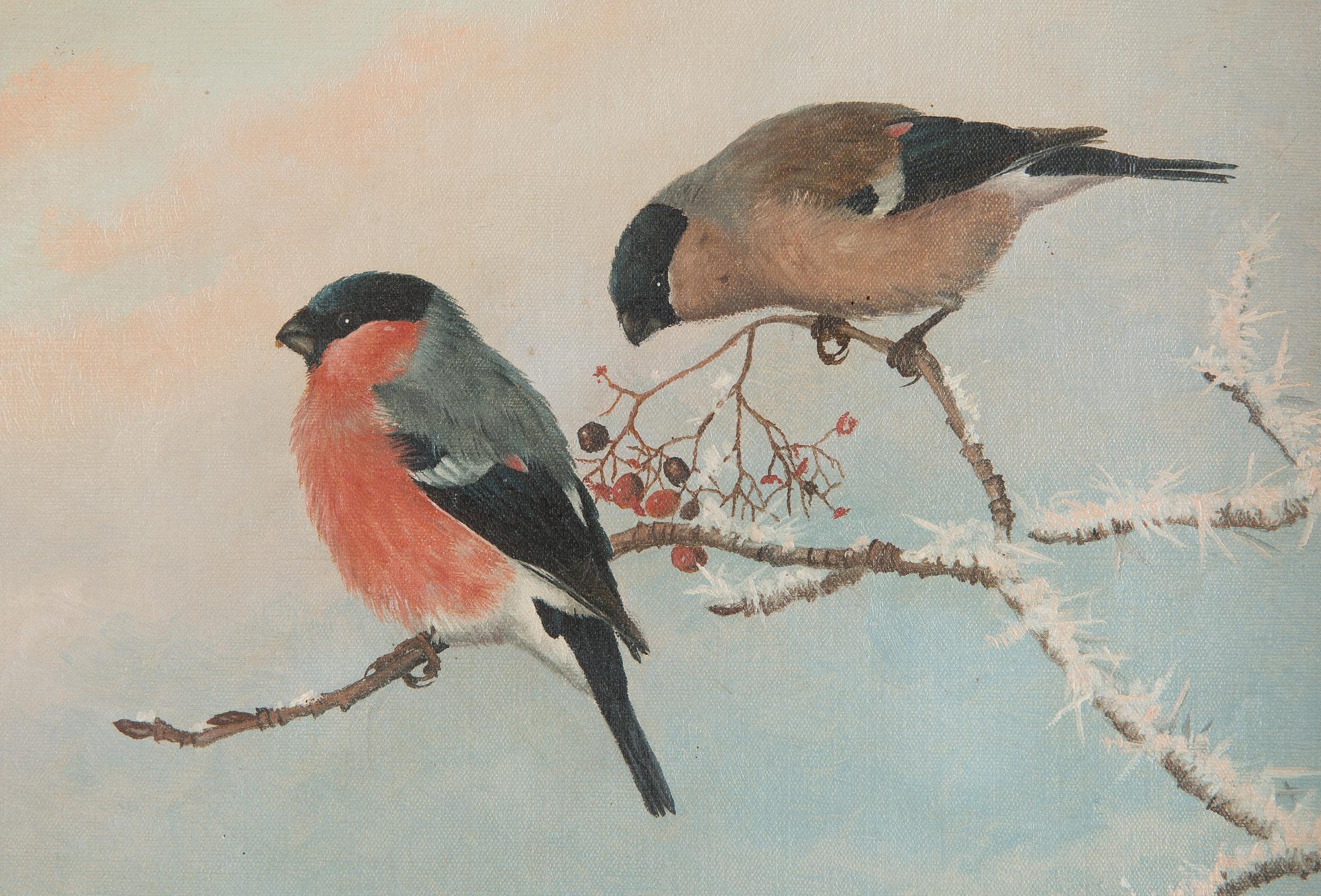 Matti Karppanen, Two Bullfinches.
