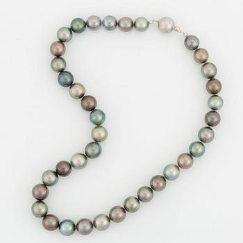 A Tahitian cultured pearl necklace.