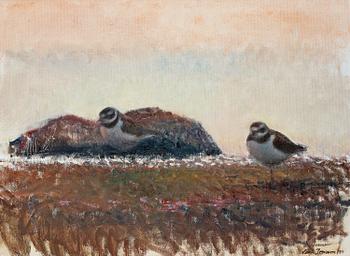 "Skymningsformer" (Plovers).