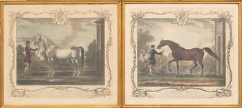 Thomas Spencer, after English Thoroughbreds, 6 pcs.