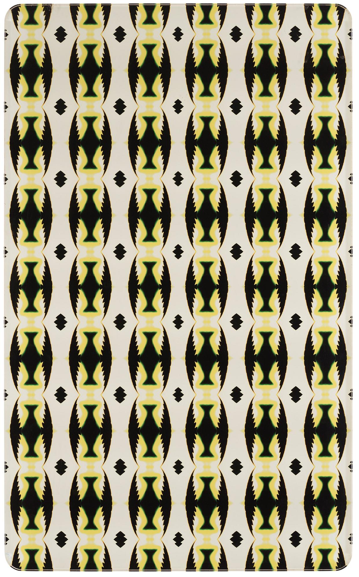 Tuija Lindström, From the series "12 Fractals of One Plant", 2004.