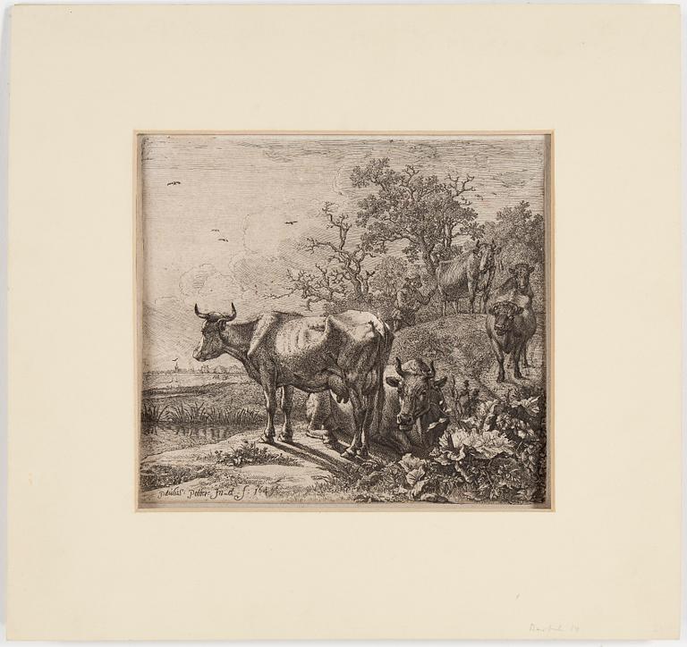 PAULUS POTTER, etsning, 1649.