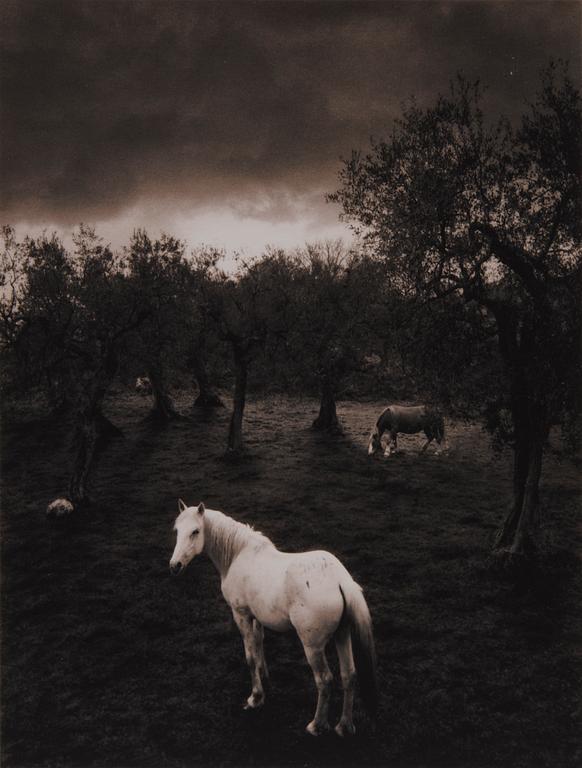 PENTTI SAMMALLAHTI, "CILENTO, ITALY".