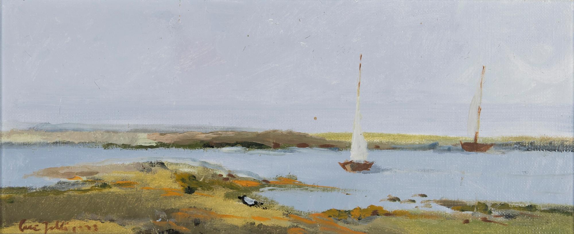Olli Joki, Vy från Åland.