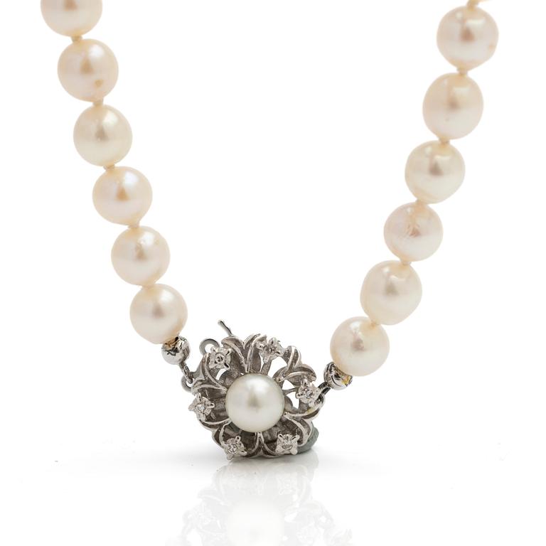 Necklace of cultured pearls, clasp of 18K white gold with diamonds.