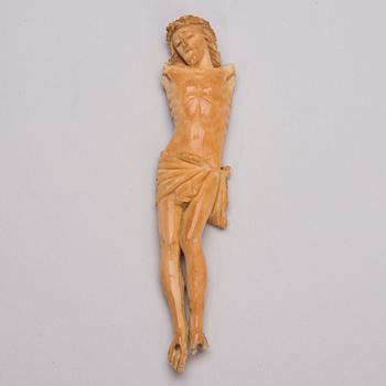 CORPUS, ben, 1700-tal.