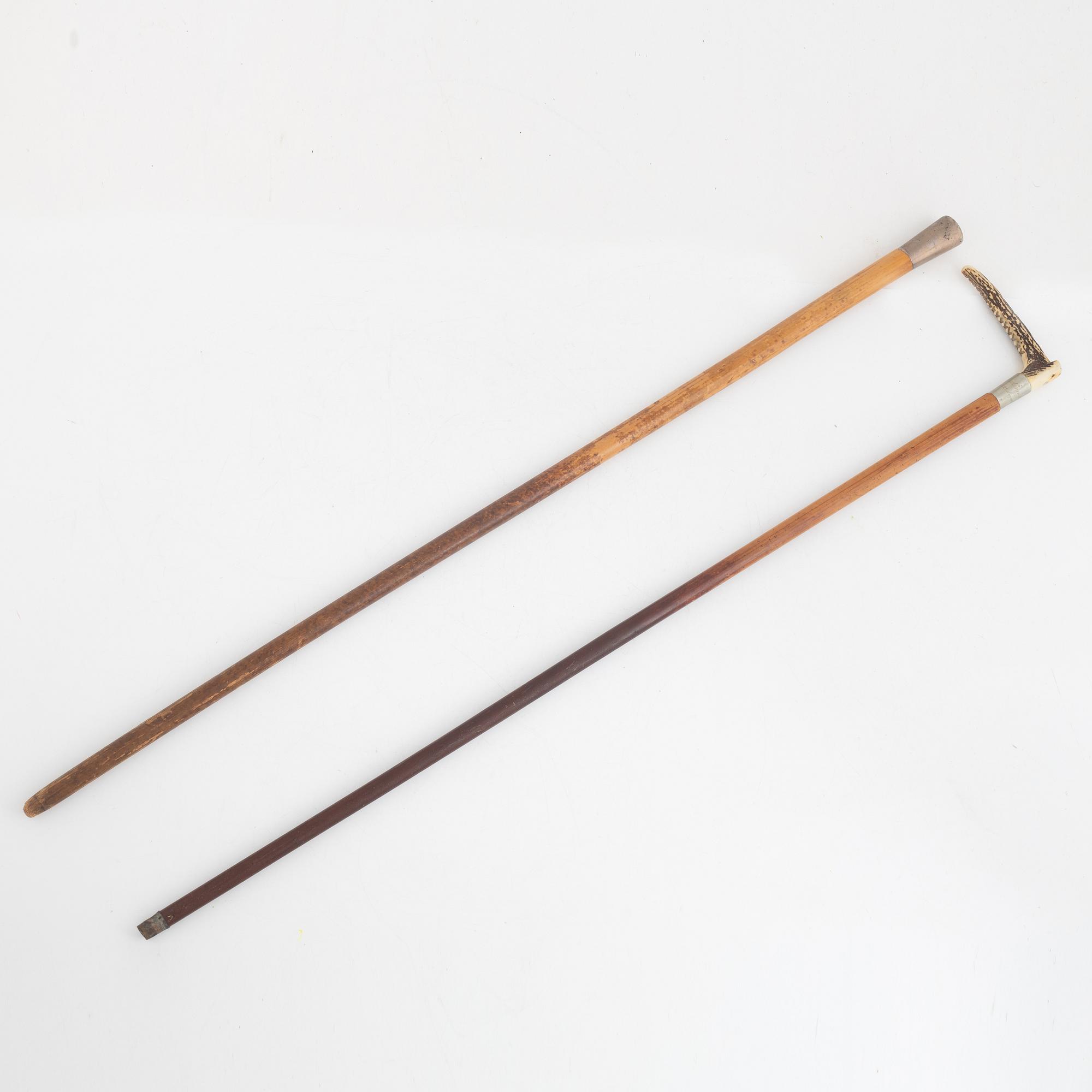 Cane, 2 pcs, von Rosen, 1895-1901.