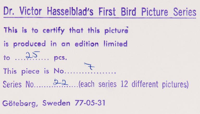 VICTOR HASSELBLAD, fotografier, 12 st, signerade, daterade och numrerade, ur serien nr 22.