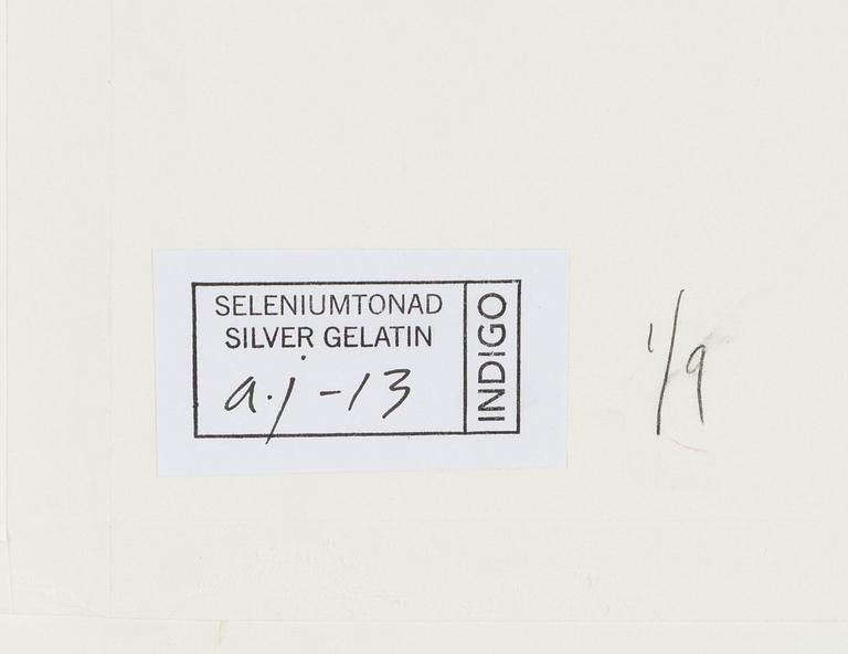 Lennart Nilsson,  "Isbjörnsjakt vid Hvitøya (Vitön), Svalbard, Norge 1947".