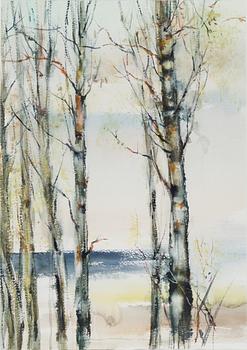 NANDOR MIKOLA, BIRCHES.