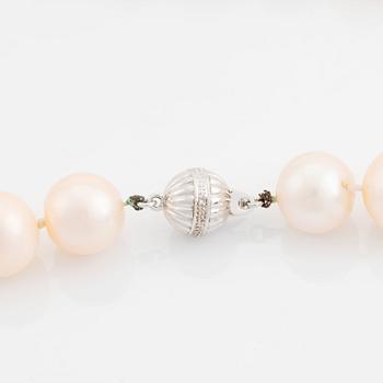 Collier odlade sötvattenspärlor.