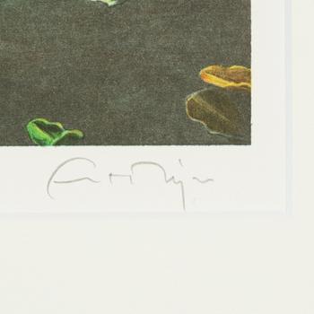Ernst Billgren, lithograph in colours, signed 120/250.