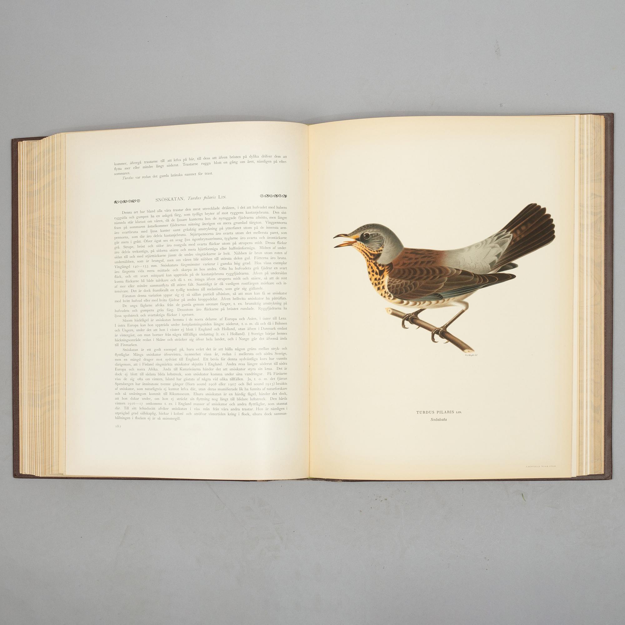 The Wright Brothers, books, volume I-III, "Svenska Fåglar", 2nd edition. A. Börtzells tryckeri AB, Stockholm, 1927-1929.