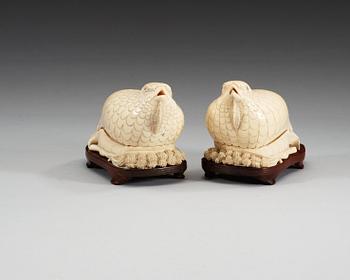 A pair of ivory figurines/boxes with covers in the shape of two quails, Qing dynasty (1644-1912).