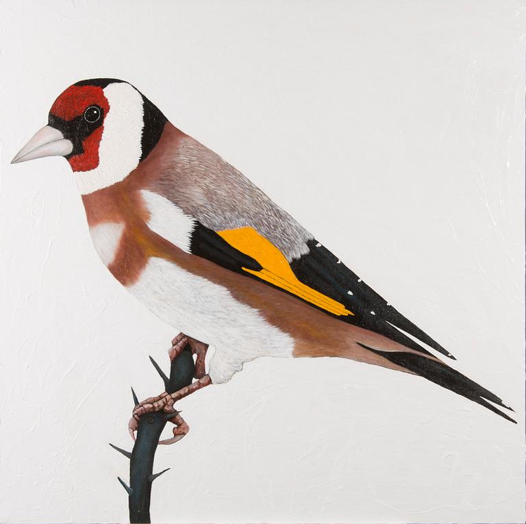 Eric Hynynen, , "European Goldfinch".