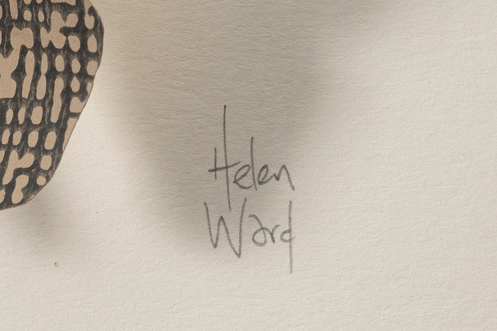 Helen Ward, "Paper Entomology".