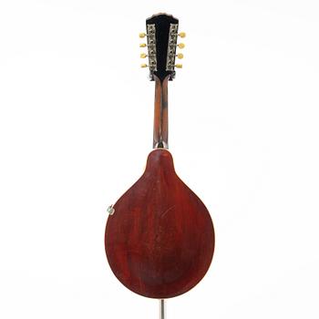 Gibson, mandolin, "A4", USA, 1918.